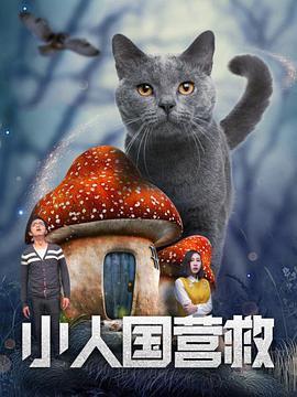91短视频在线看